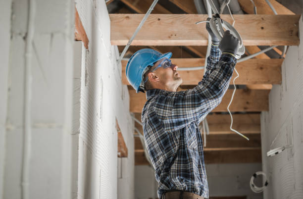 Best Electrical Repair Services  in Pistakee Highlands, IL