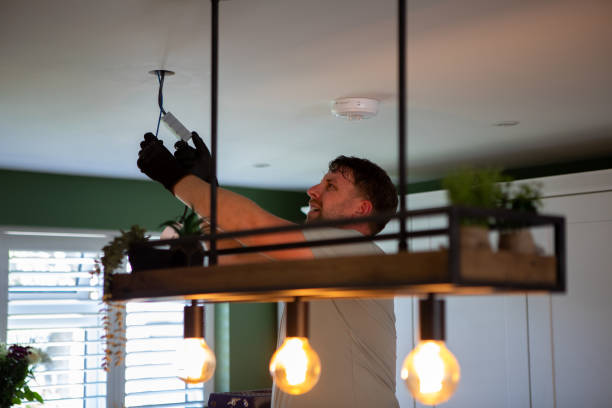 Best Affordable Electrician  in Pistakee Highlands, IL