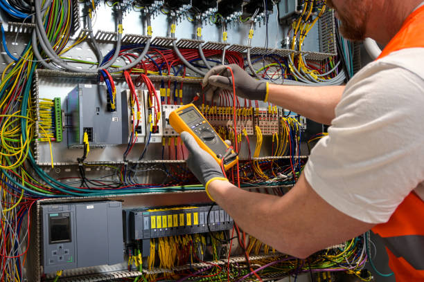 Best Electric Panel Repair  in Pistakee Highlands, IL